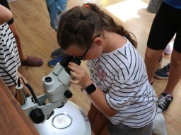 Półkolonie letnie 2025